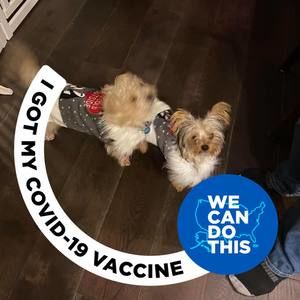 Meet your Posher, Lily